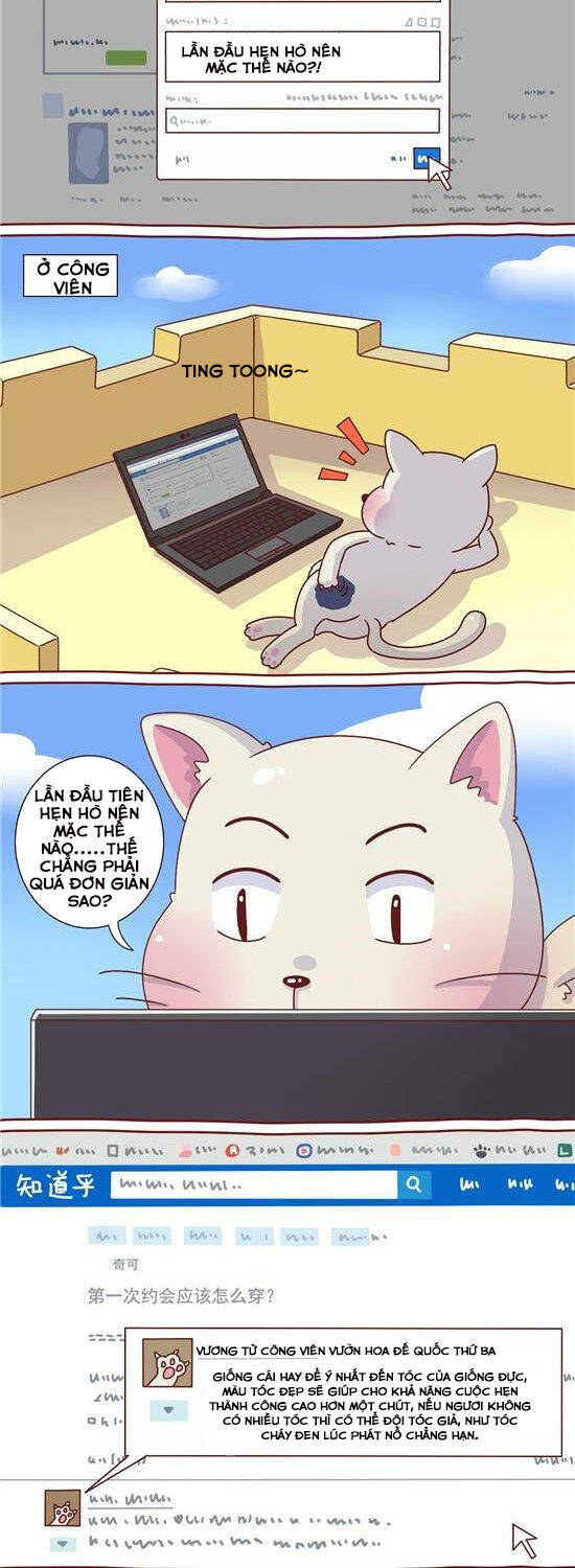 cây nấm kì khả chapter 24 3