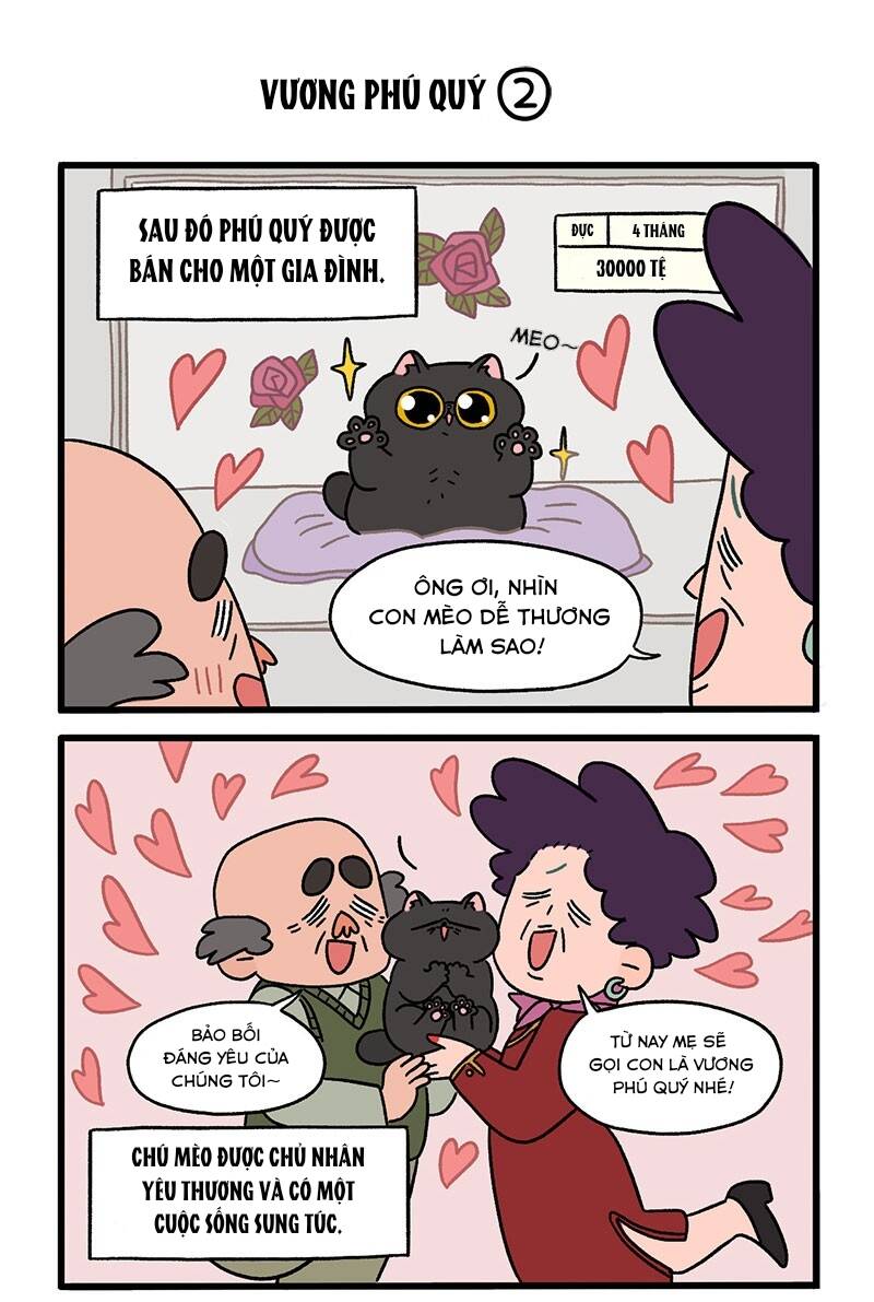 a mãn và mạch trà chapter 15 3