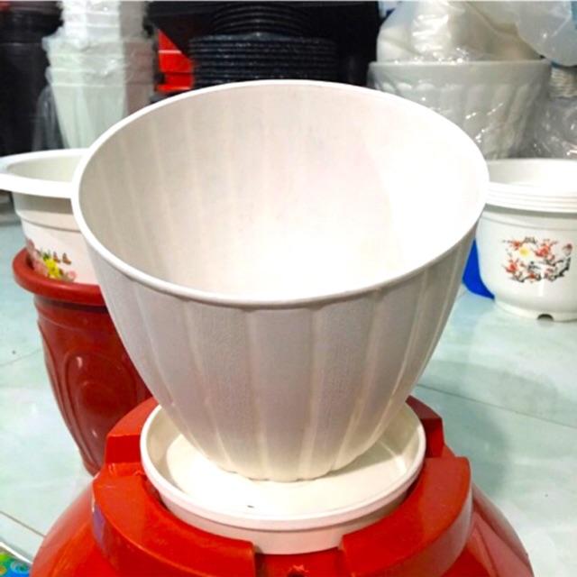 Combo 2-4 Chậu Nhựa Sọc + Tặng đế lót