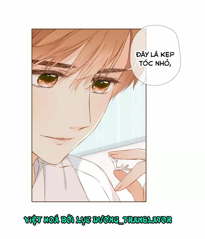 Tình yêu là màu hoa anh thảo chapter 34.2 12