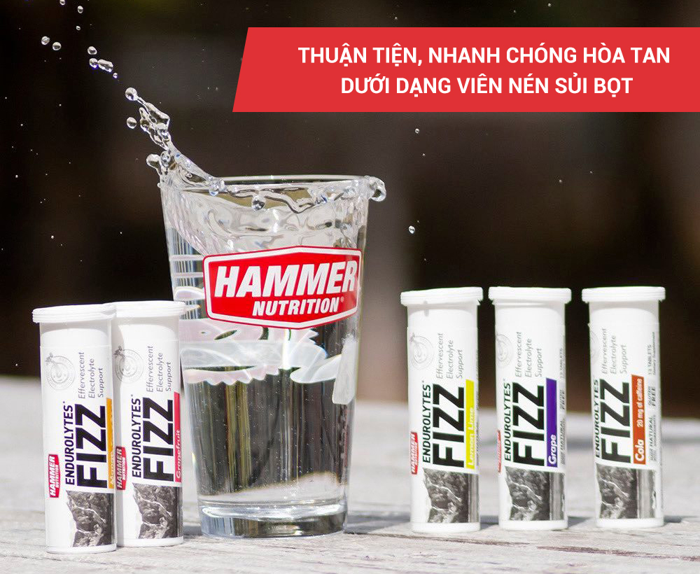 Viên sủi điện giải chống chuột rút Endurolytes Fizz Hammer Nutrition - Cung cấp bù khoáng cân bằng toàn diện (13 viên)