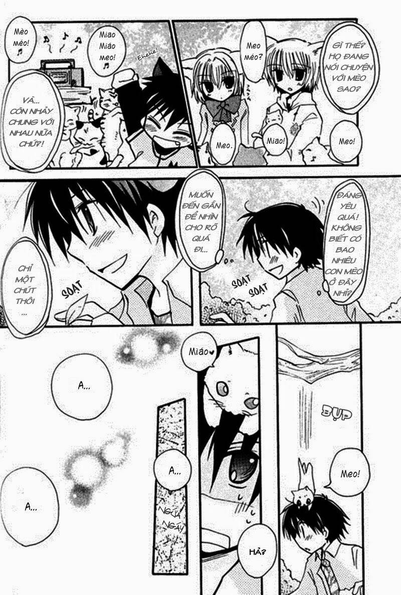 boku x neko? chapter 3.2 5