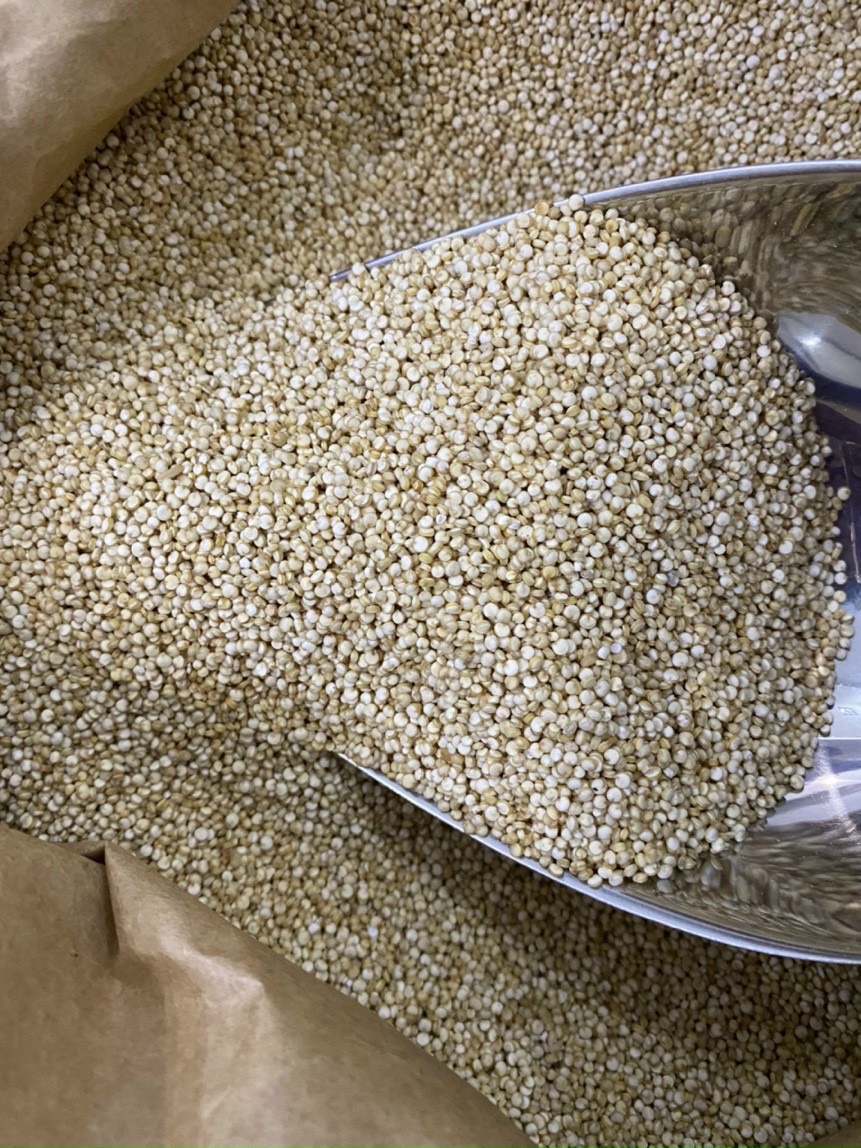 Hạt Diêm mạch Quinoa - Nhập khẩu Mỹ / Thương Hiệu Holinut - 500g và 1kg