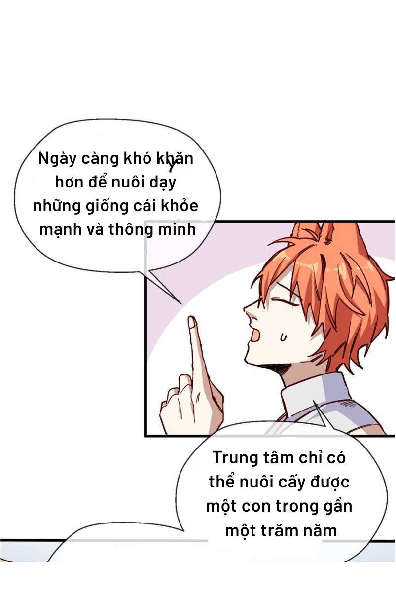 anh đã vượt quá giới hạn rồi, chủ nhân ngu ngốc chapter 4 23