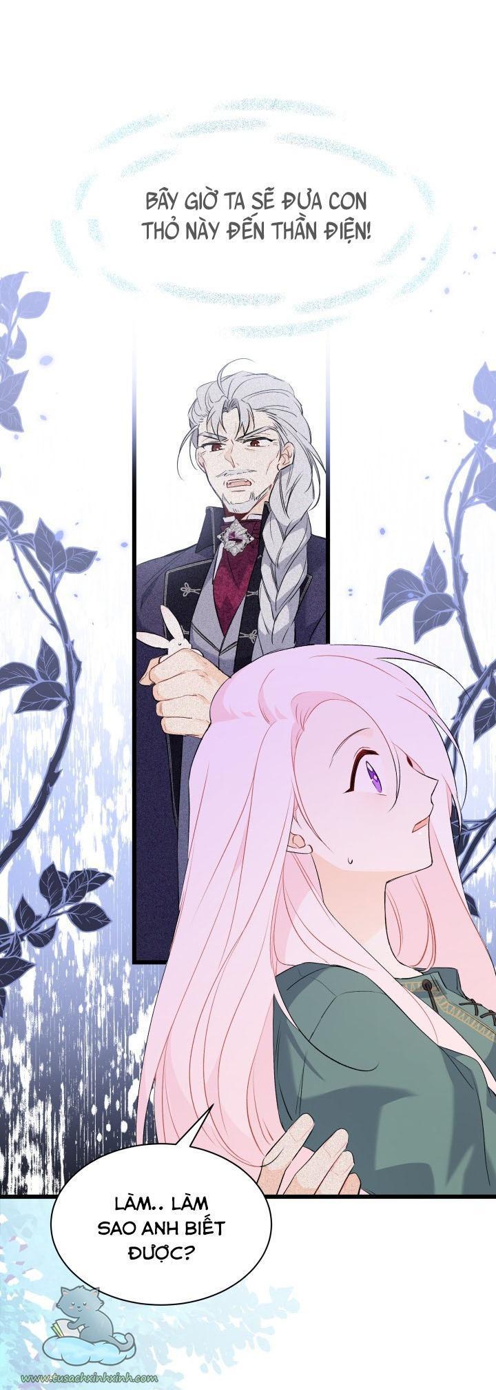 quan hệ cộng sinh giữa báo đen và thỏ trắng chapter 51 6