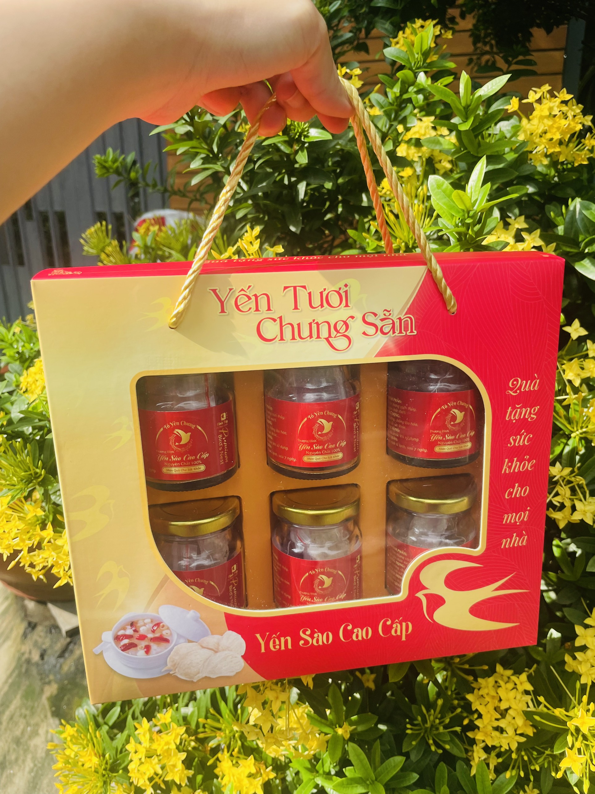 Set Túi giấy đựng 6 hủ yến sang trọng