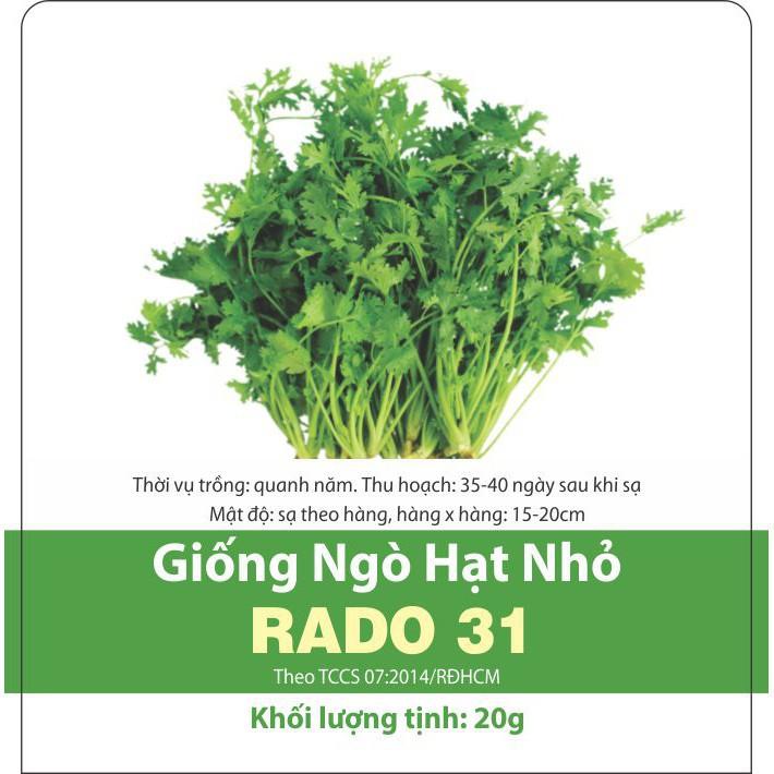 Hạt Giống Ngò Hạt Nhỏ Rado 31- Ngò Rí - Rau Mùi Ngò Ta- Dễ Trồng, Cây Sinh Trưởng và Kháng Bệnh Tốt - Gói 20gr - RẠNG ĐÔNG, HẠT GIỐNG TỐT
