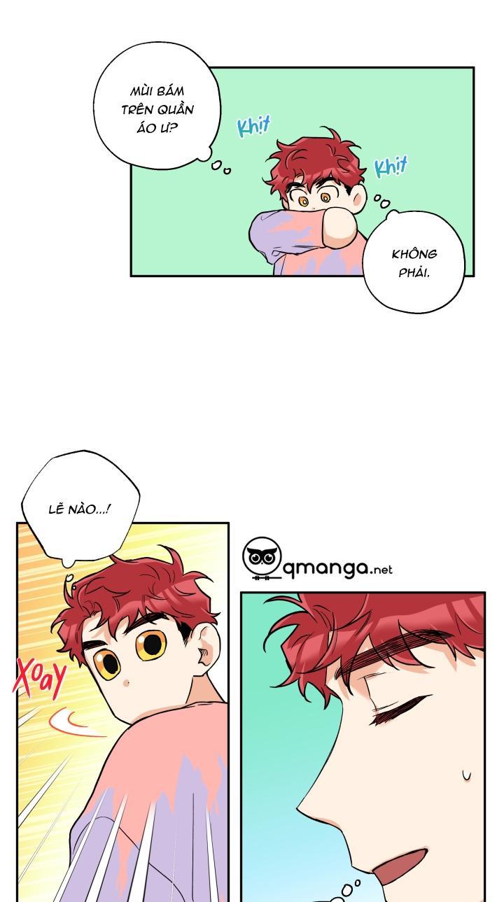 gâu gâu! chapter 26 41