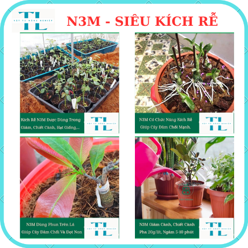 N3M Kích Thích Ra Rễ Lọ 100 GRAM - Kích Thích Ra Rễ Cực Mạnh - Phân Bón N3M - Phân Kích Rễ
