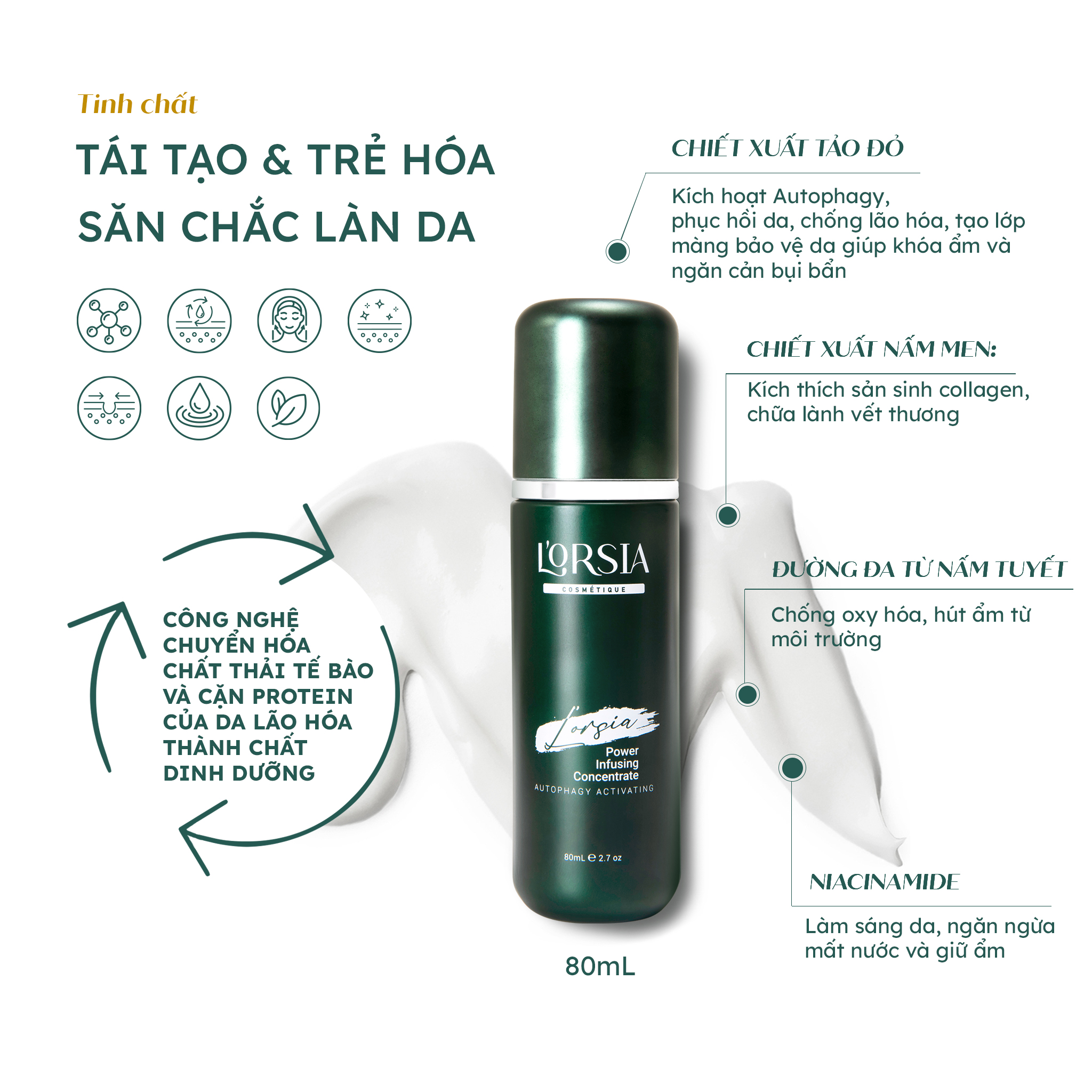 Tinh chất tái tạo, trẻ hoá và săn chắc da L’Orsia Autophagy Activating 80ml