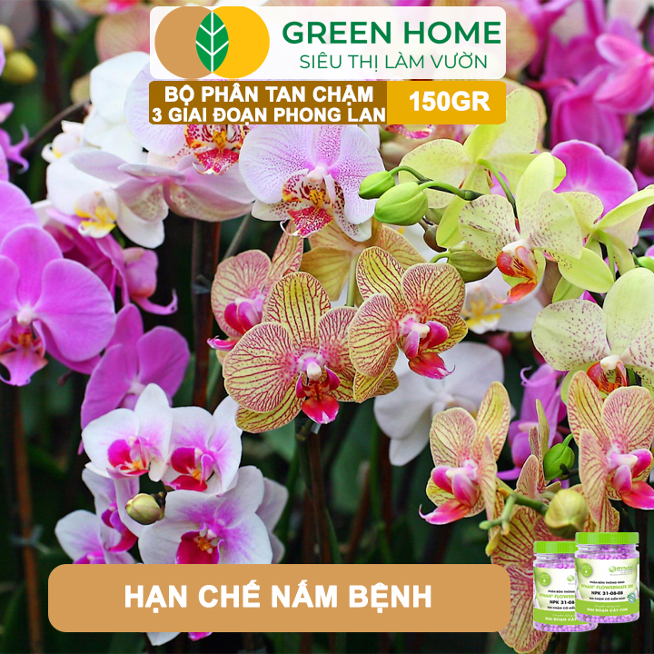 Bộ 3 Phân Tan Chậm Greenhome, Rynan 200-210-220 Chuyên Phong Lan 3 Giai Đoạn Dưỡng Cây Con, Kích Hoa, Sau Ra Hoa