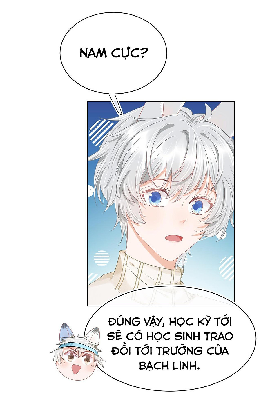 [ss2] một ngụm ăn cả thỏ con chapter 0 54