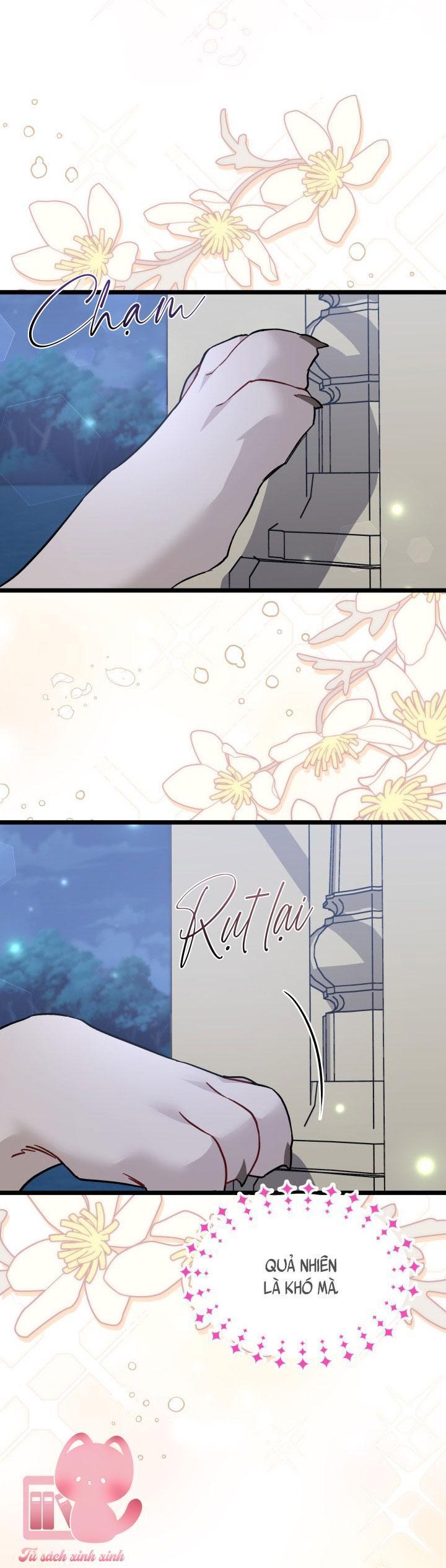 quan hệ cộng sinh giữa báo đen và thỏ trắng chapter 107 16