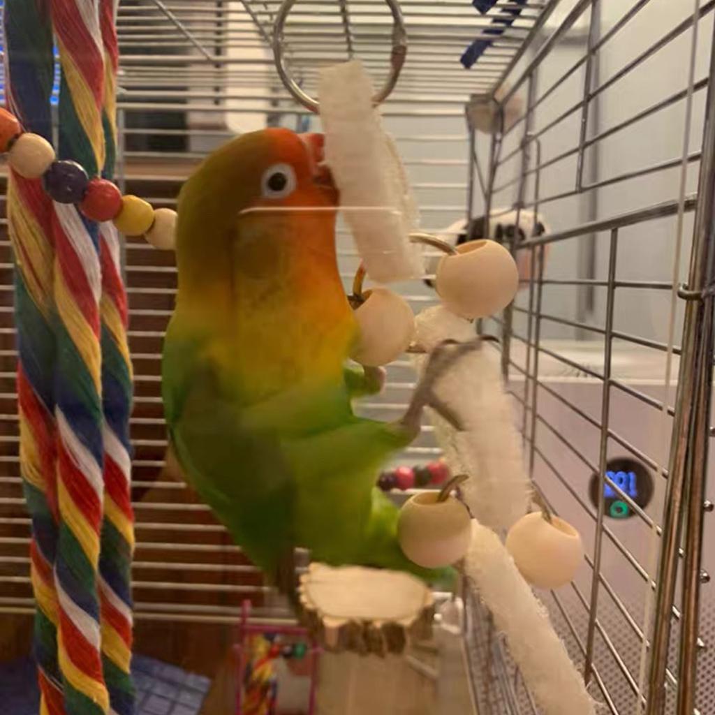 7 Pcs Birds Parrot Chew Toys Birds Parrots Swing Toy For Small to Large Bird