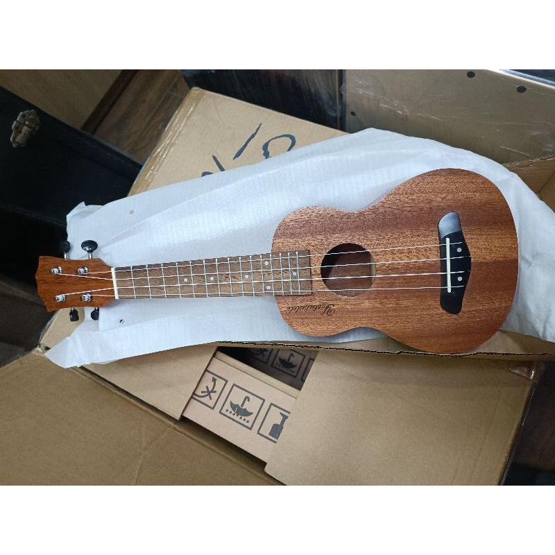 Đàn ukulele 21 inch  giá rẻ