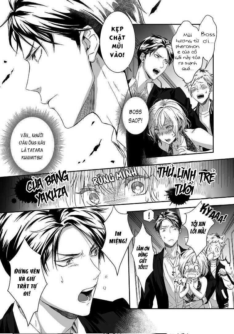 Chàng Yakuza Và Nàng Omega chapter 2 - Trang 3