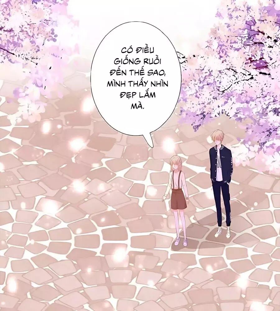 hoa chưa nở rộ chapter 19 34