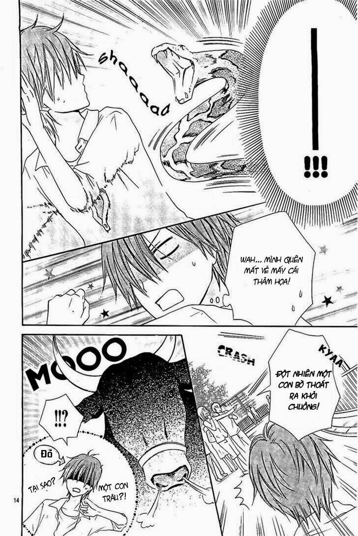 inochi mijikashi, koi seyo furyou shounen! chapter 5 14