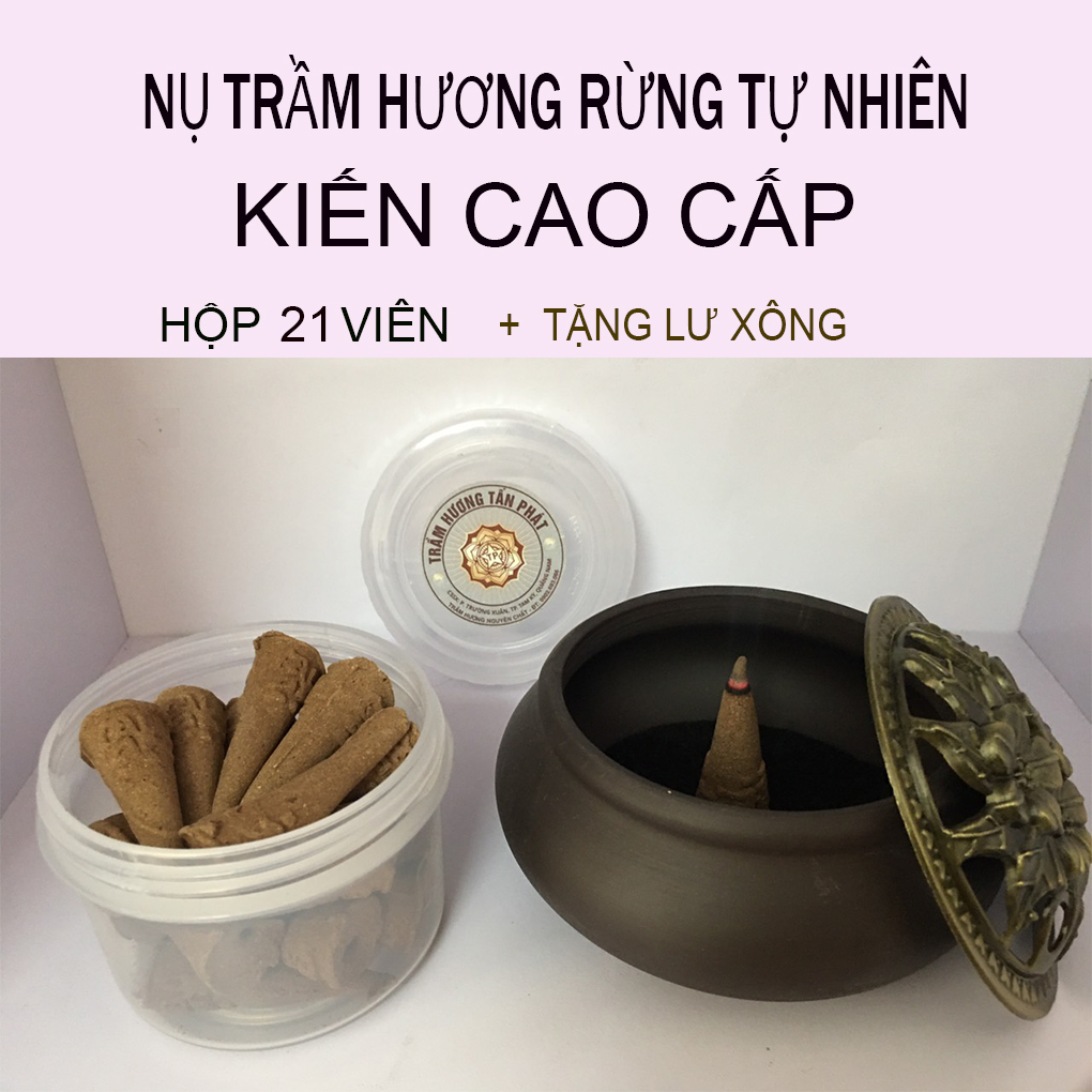 Nụ Trầm Hương Tự Nhiên Rừng siêu thơm ( Tặng Lư Xông Trầm