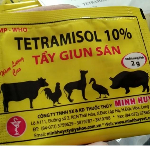 1 GÓI TERAMISOL 10% CHO YẾN PHỤNG,VẸT,THÚ CƯNG,HEO,BÒ, GÀ