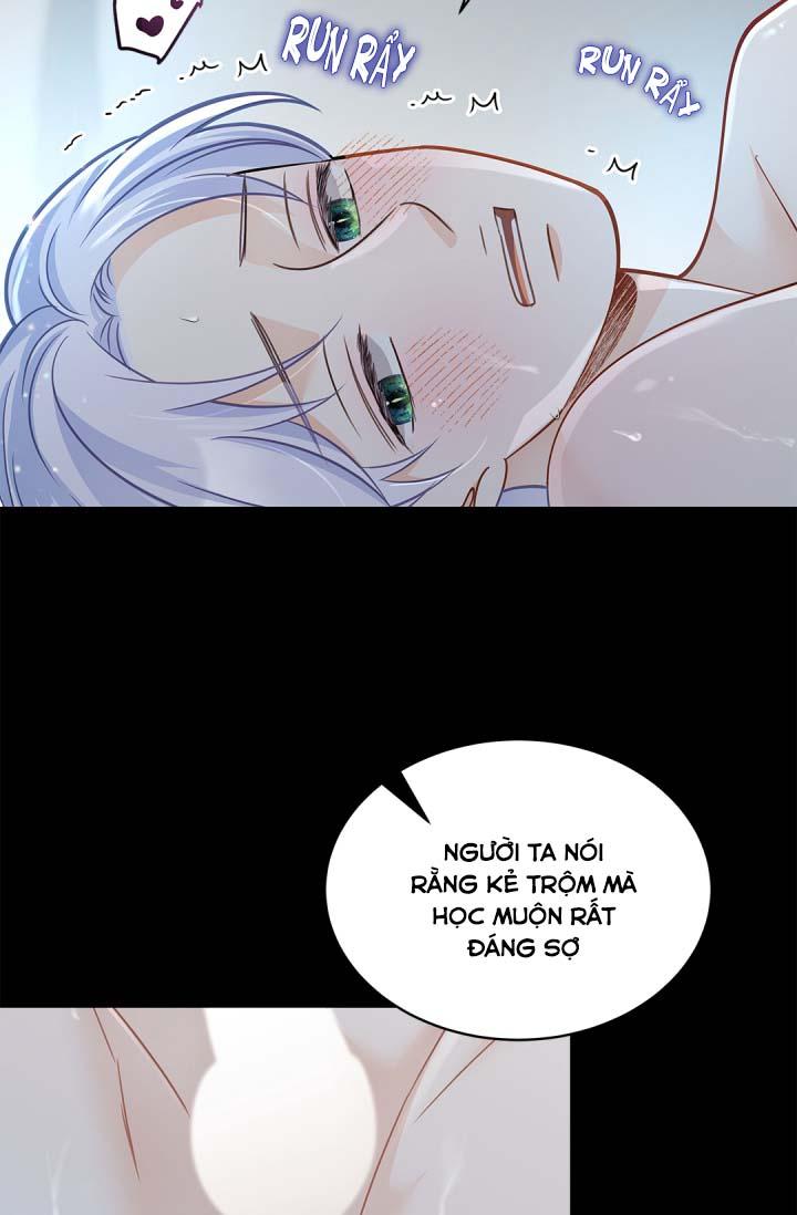 hôn nhân bị đánh cắp của hồ ly chapter 26 25