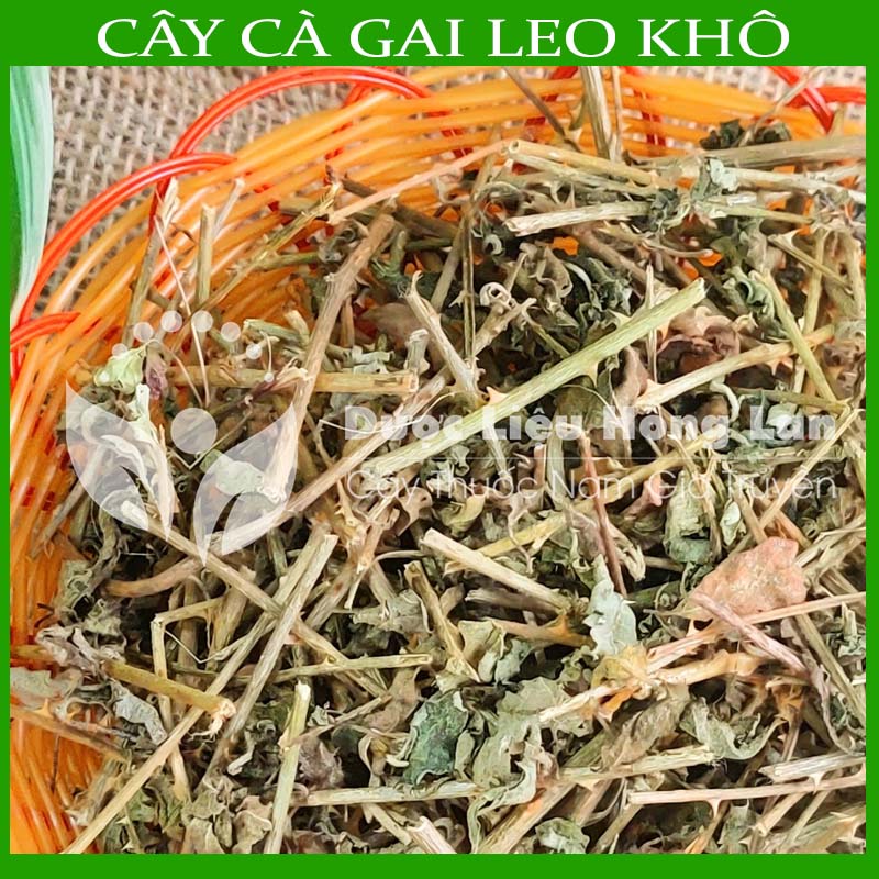 Cây Cà Gai Leo khô loại 1 đóng gói 500g