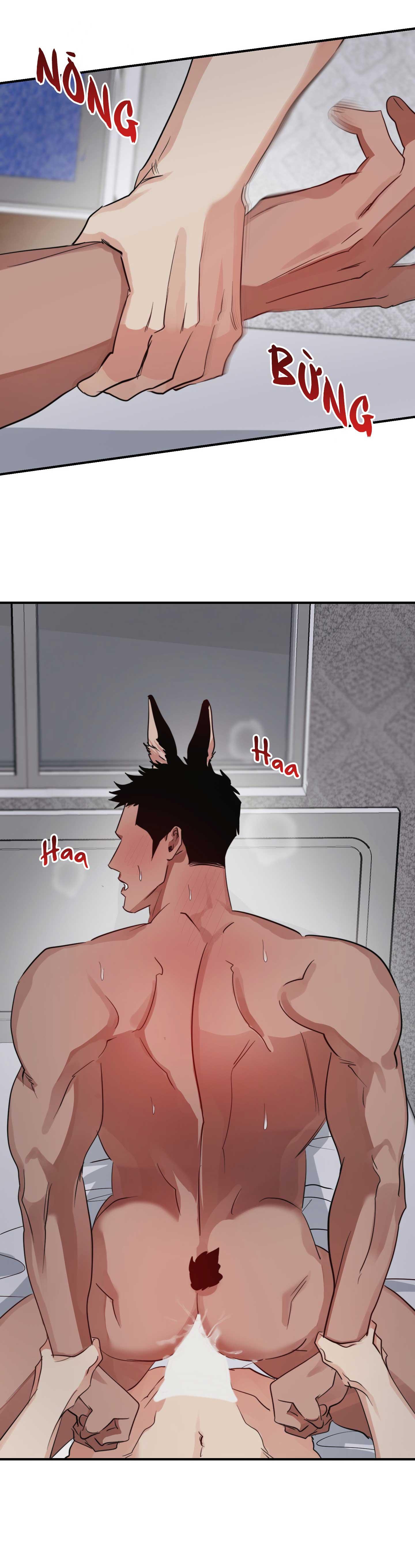 bộ sưu tập ciu to-ngực bự của nhà sẹc chapter 18 12