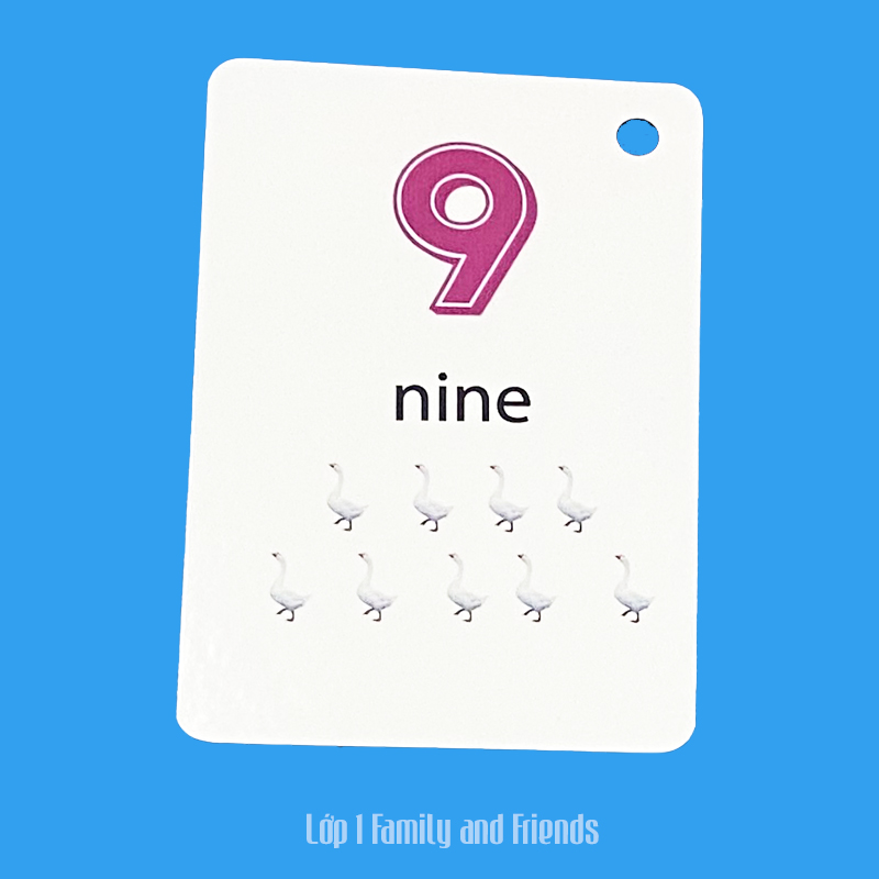 Flashcard Tiếng Anh Family and Friends lớp 1, có phát âm, hình ảnh sinh động