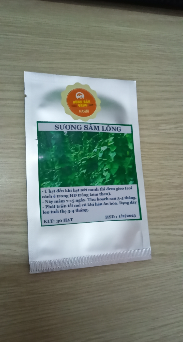 Hạt giống Lá Sương Sâm Lông Rừng - Nông Sản Vàng