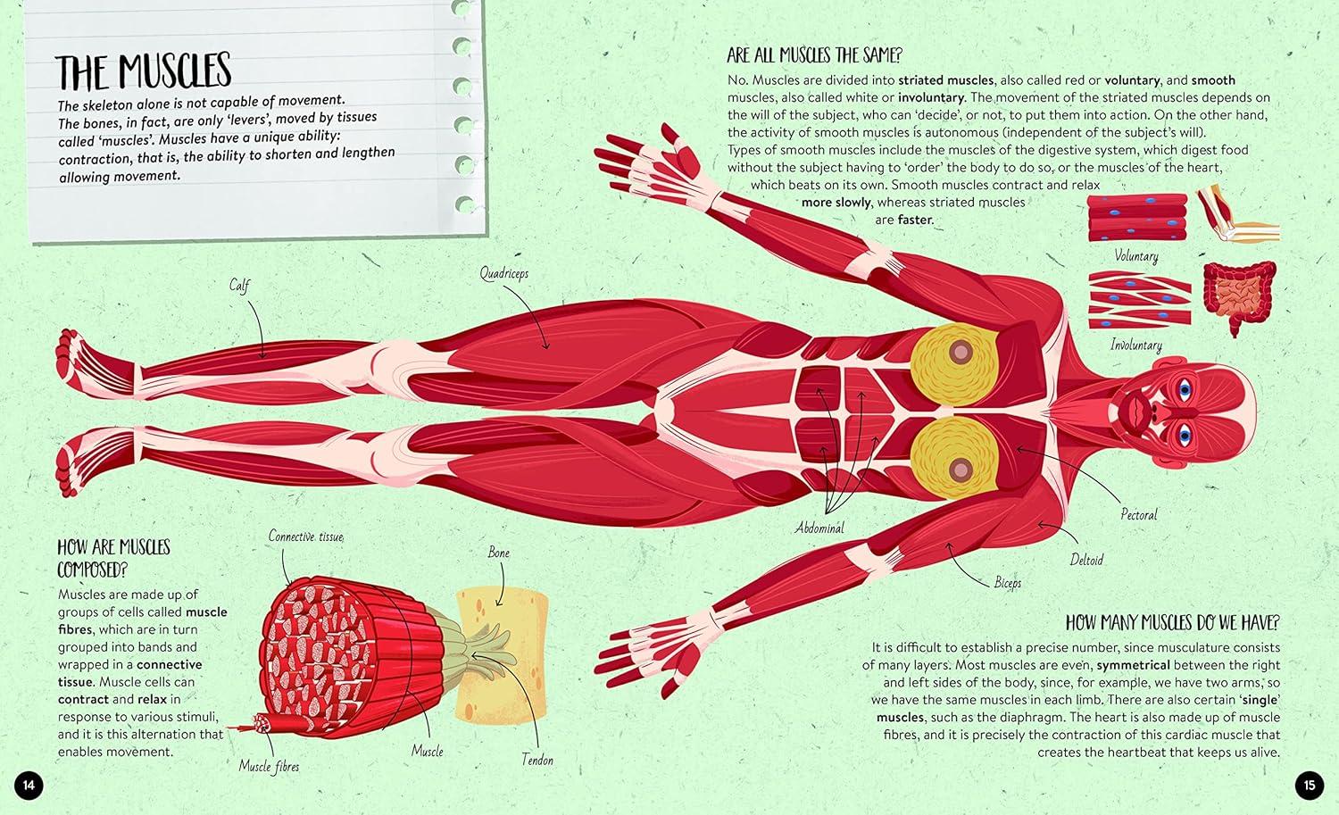 Sách ngoại văn: What How Why Human Body