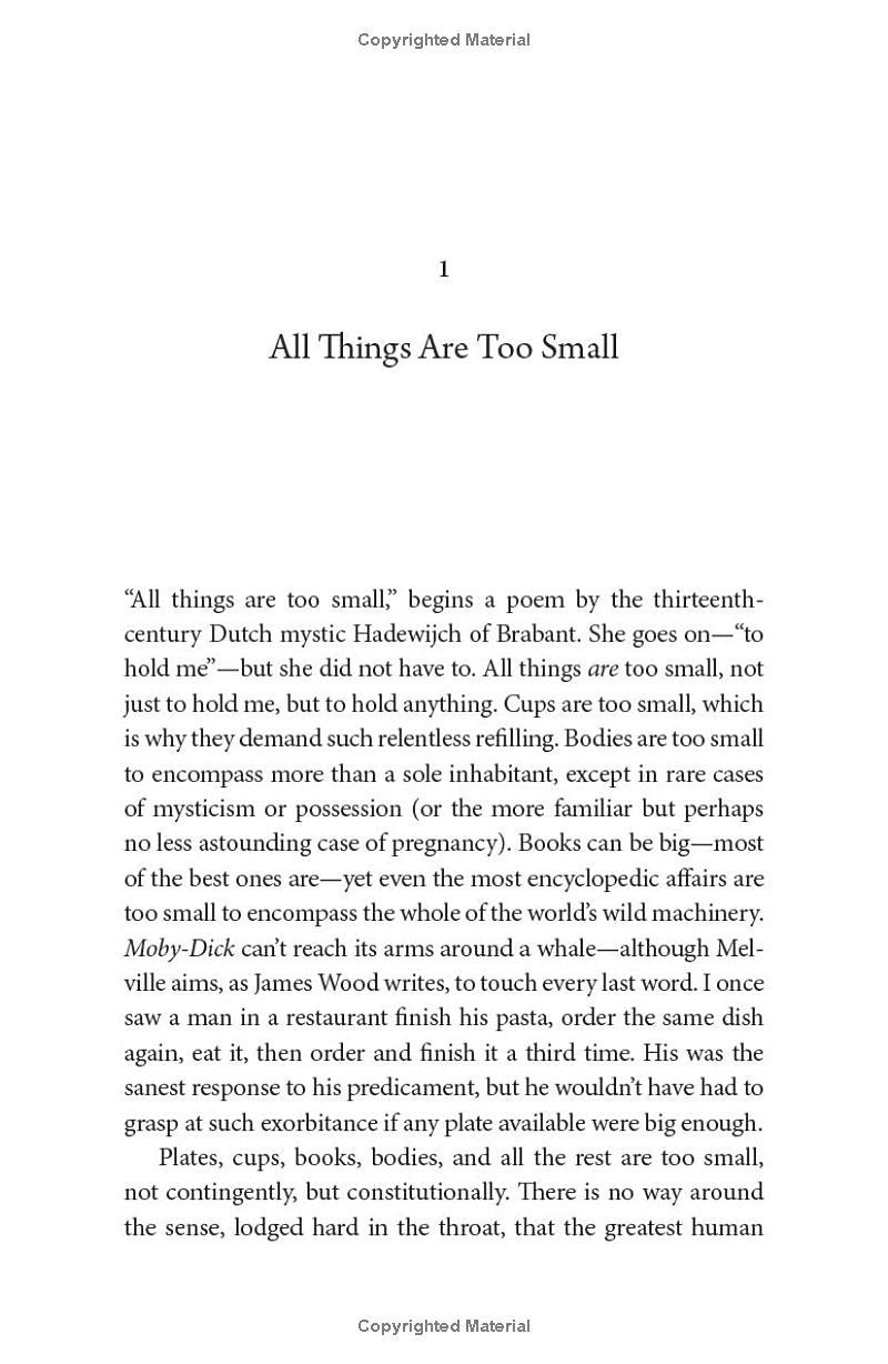 Sách ngoại văn: All Things Are Too Small - Essays In Praise Of Excess