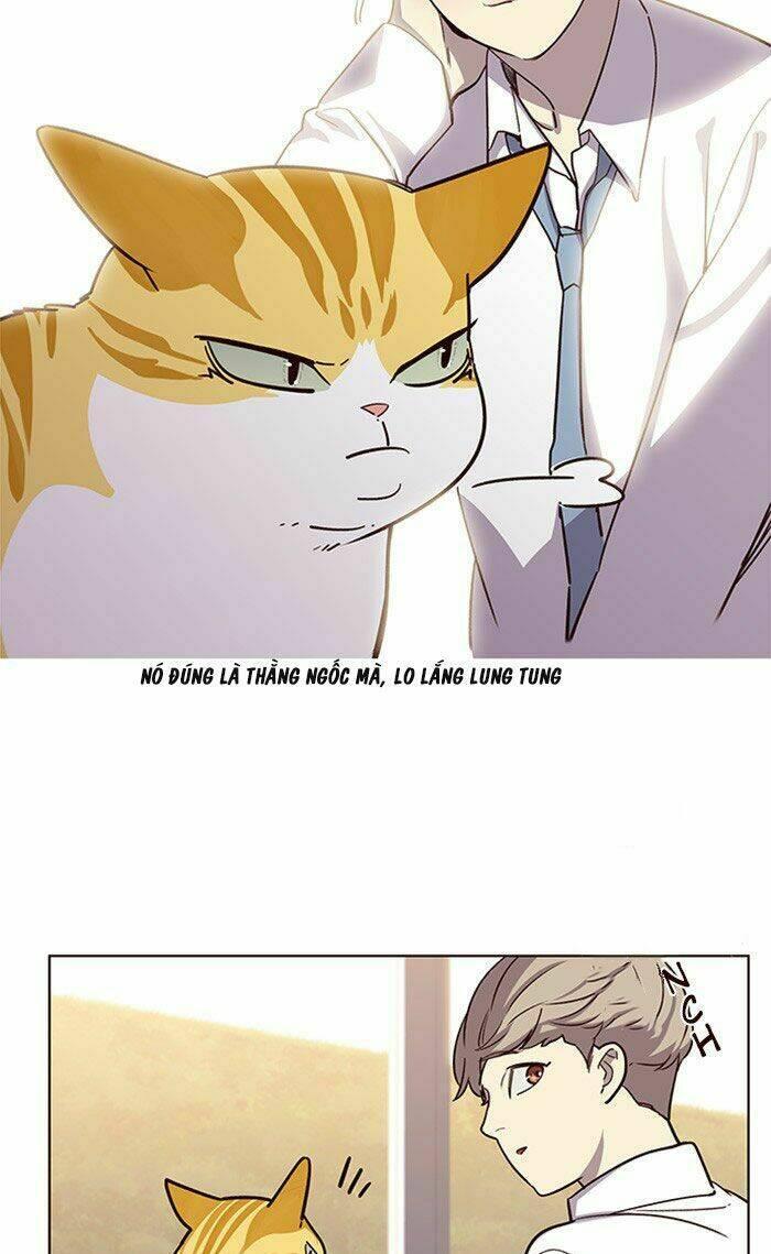 biến thân thành mèo chapter 10 13