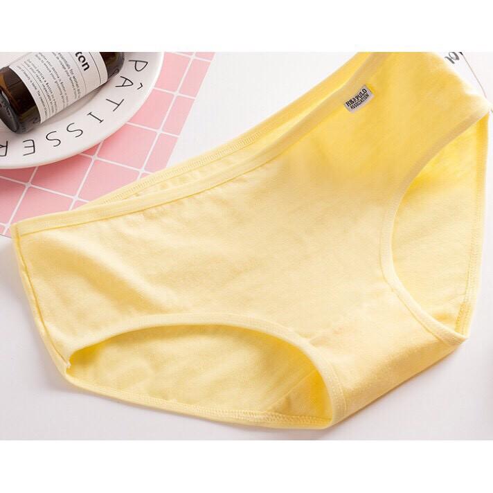 Combo 10 Quần Lót Cotton Pulo Xuất Mỹ