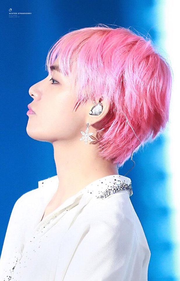 Bông tai khuyên tai idol hoa 6 cánh V BTS 1 chiếc