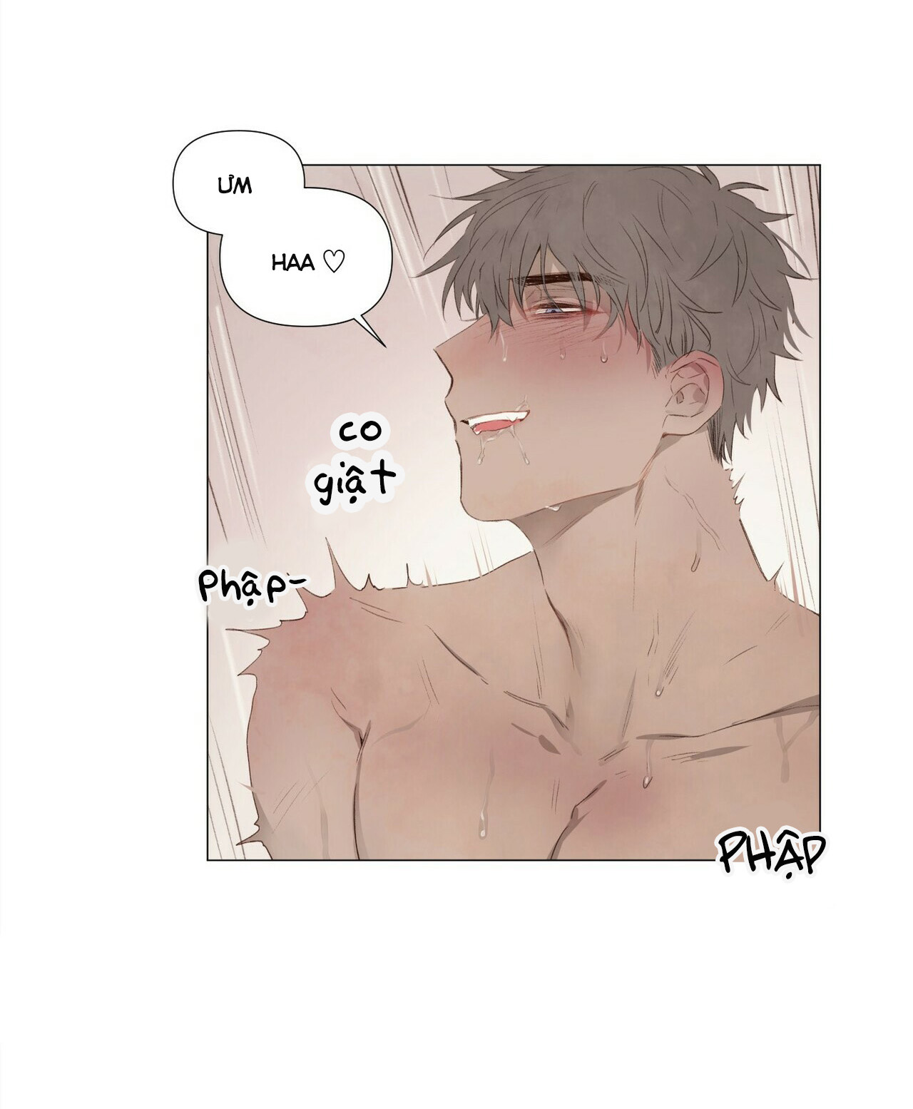 đừng đưa dây xích cho anh ấy chapter 29.3 5