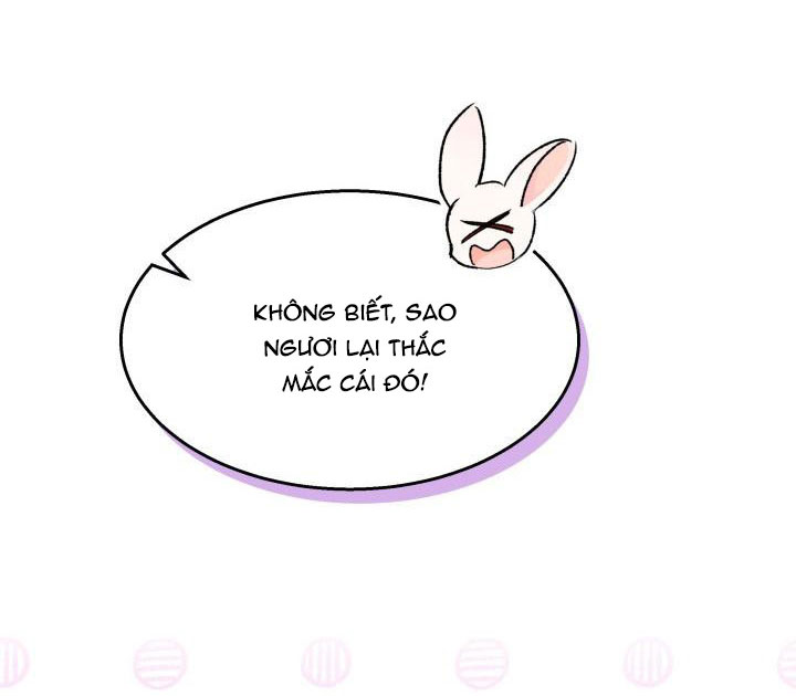 mối liên kết giữa báo đen và bé thỏ chapter 91 25