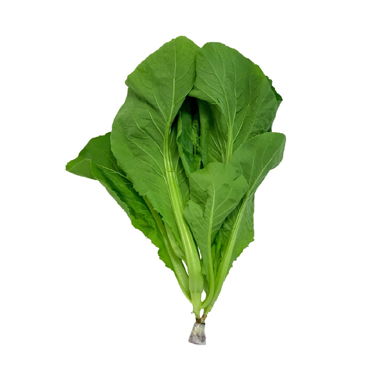 [Chỉ Giao HCM] CẢI BẸ XANH THỦY CANH - 1KG