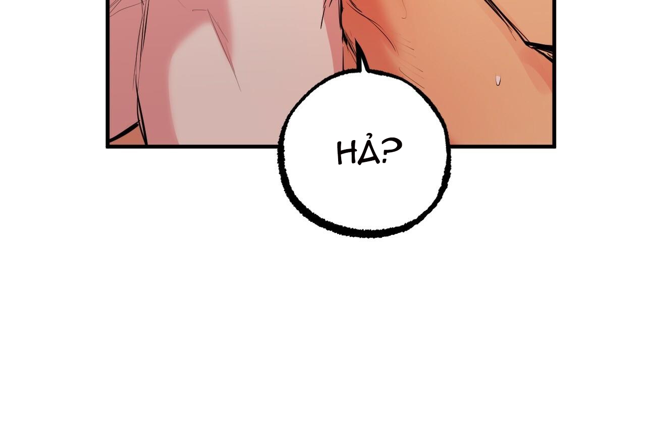 đàn thỏ của habibi chapter 29 28