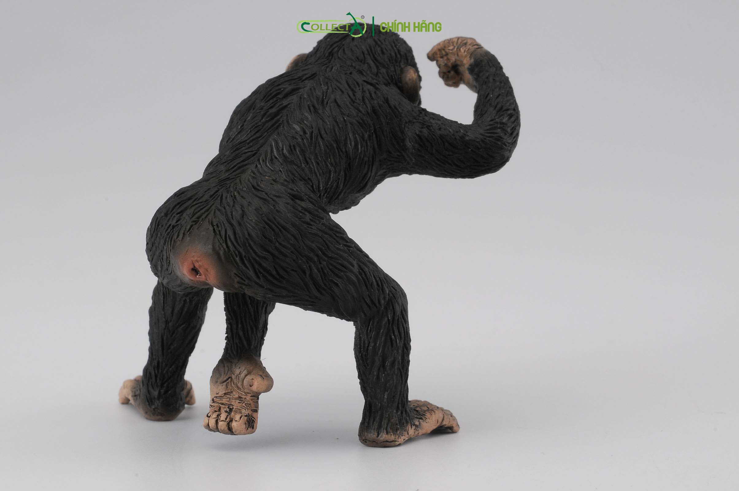 Mô hình thu nhỏ: Tinh Tinh bố - Chimpanzee Male, hiệu: CollectA, mã HS 9651031[88492] -  Chất liệu an toàn cho trẻ - Hàng chính hãng