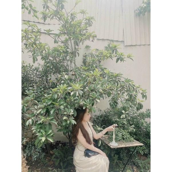 ĐẦM XOÈ 2 DÂY DỄ THƯƠNG