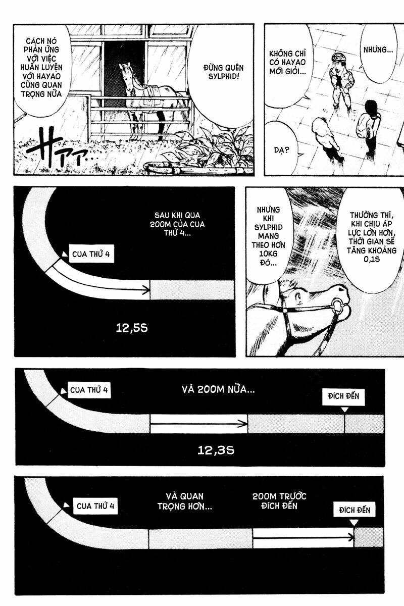 kaze no sylphid - phong mã silphid chapter 13 20