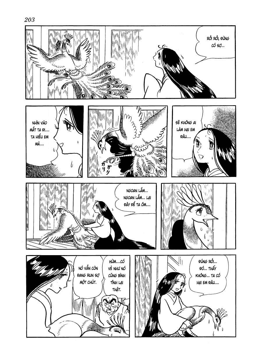 chim lửa chapter 84 24
