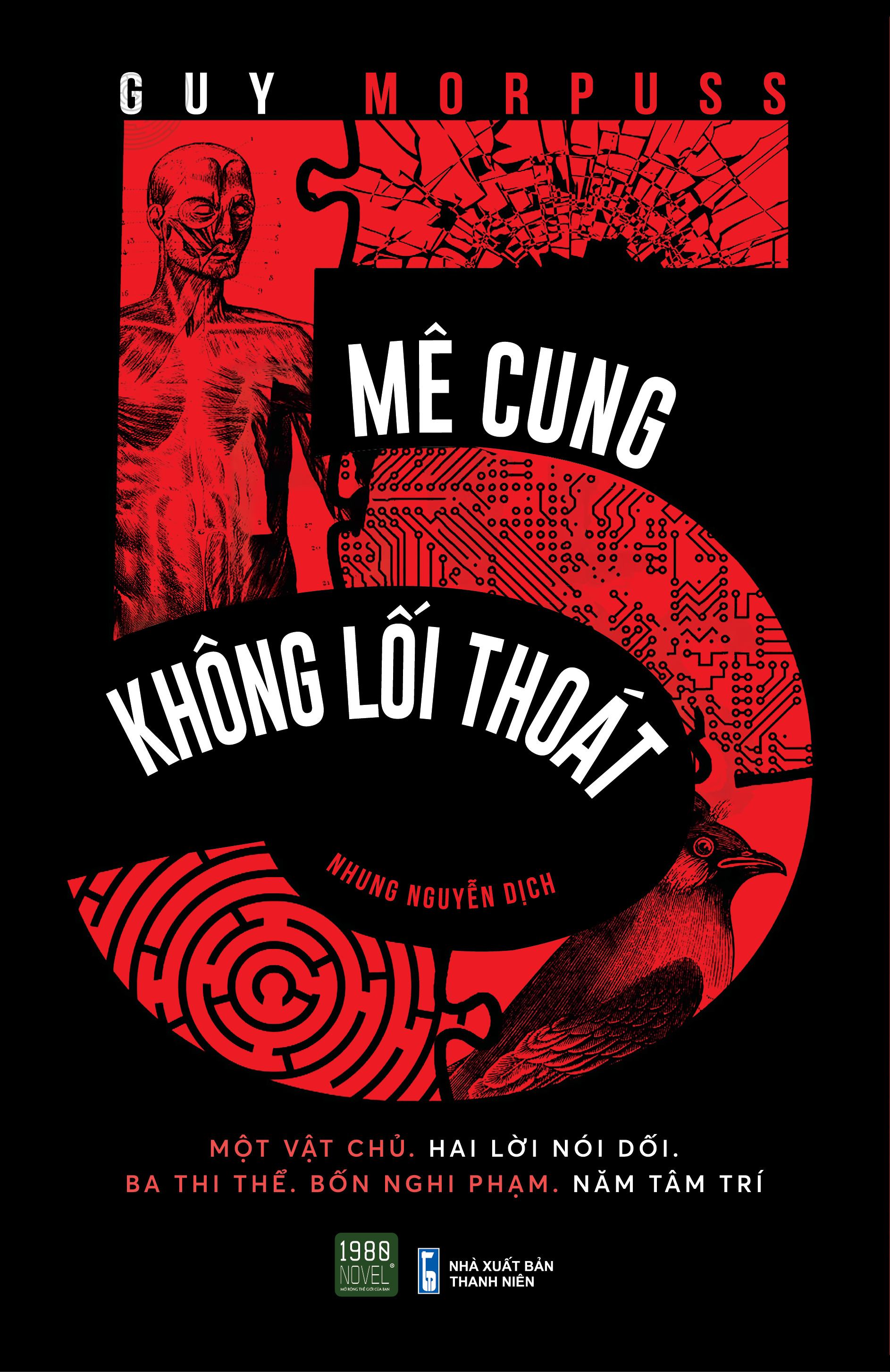 Mê Cung Không Lối Thoát