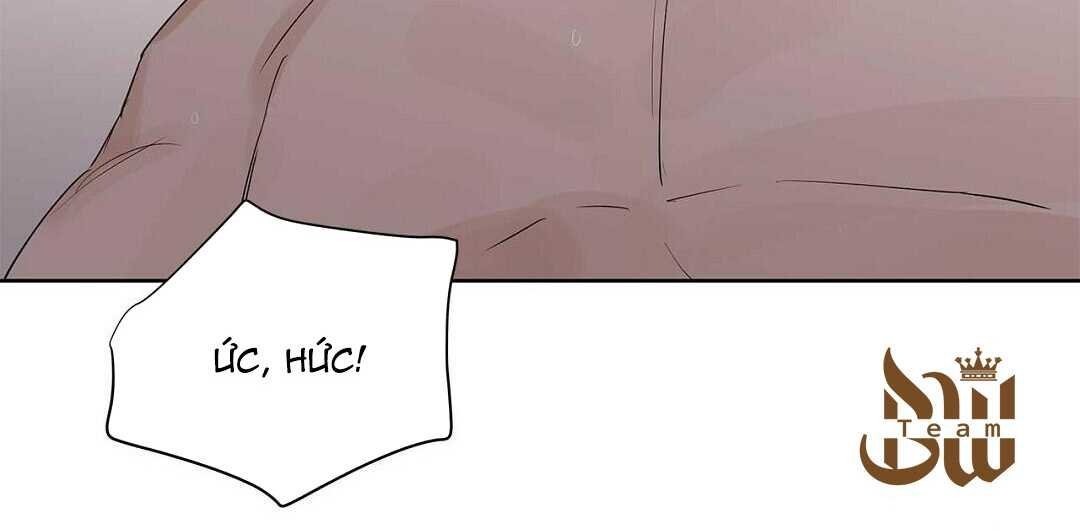 guide cấp b chapter 41 159