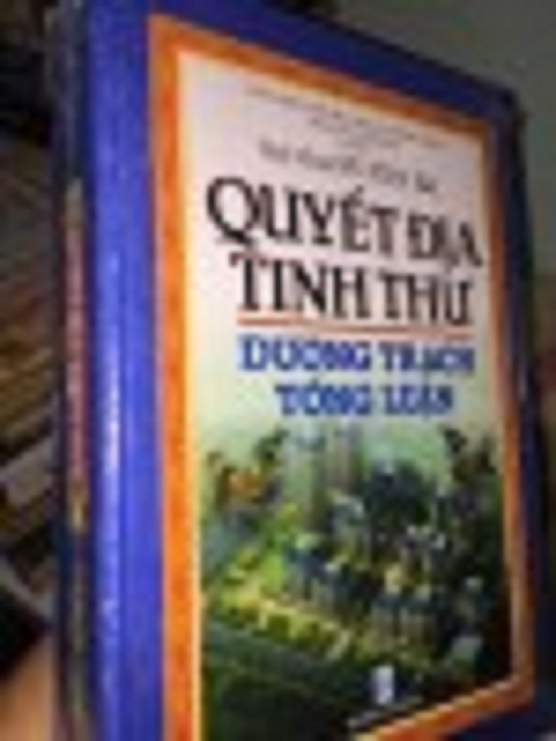 Quyết Địa Tinh Thư – Tuệ Minh Võ Văn Ba (Trọn Bộ)