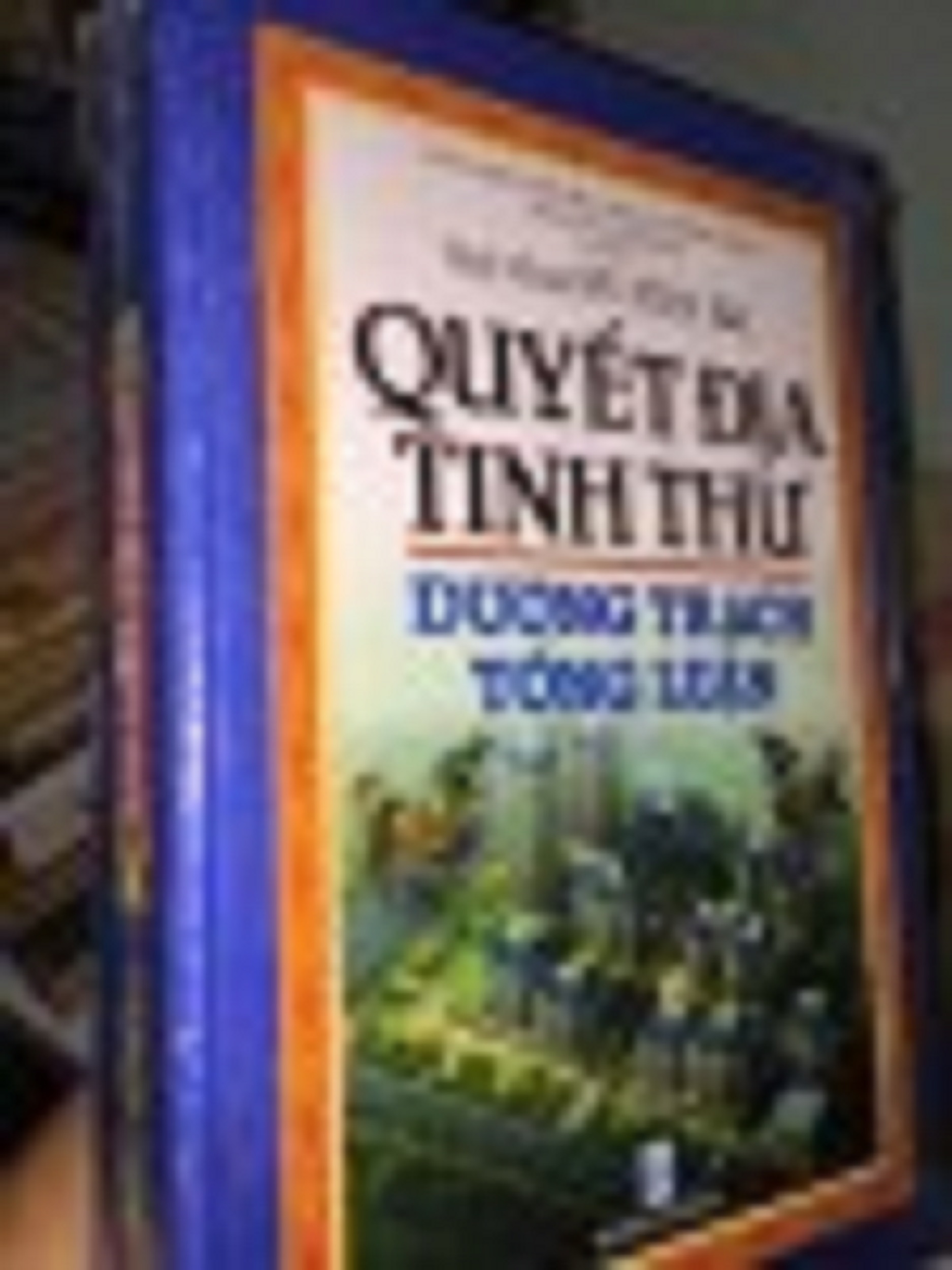 Quyết Địa Tinh Thư – Tuệ Minh Võ Văn Ba (Trọn Bộ)