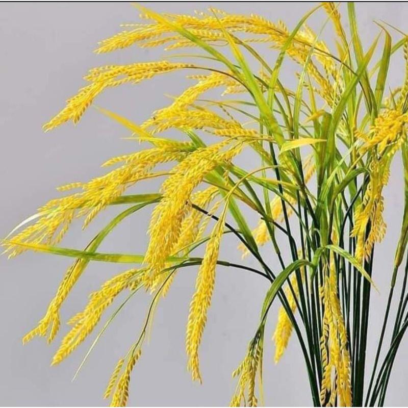 Cành Lúa gIả hàng đẹp cao 80cm - Hoa lá bằng nhựa, cành mềm mại