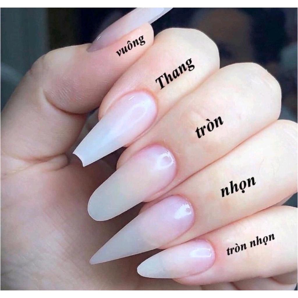 Nailbox thiết kế tặng kèm keo+dũa