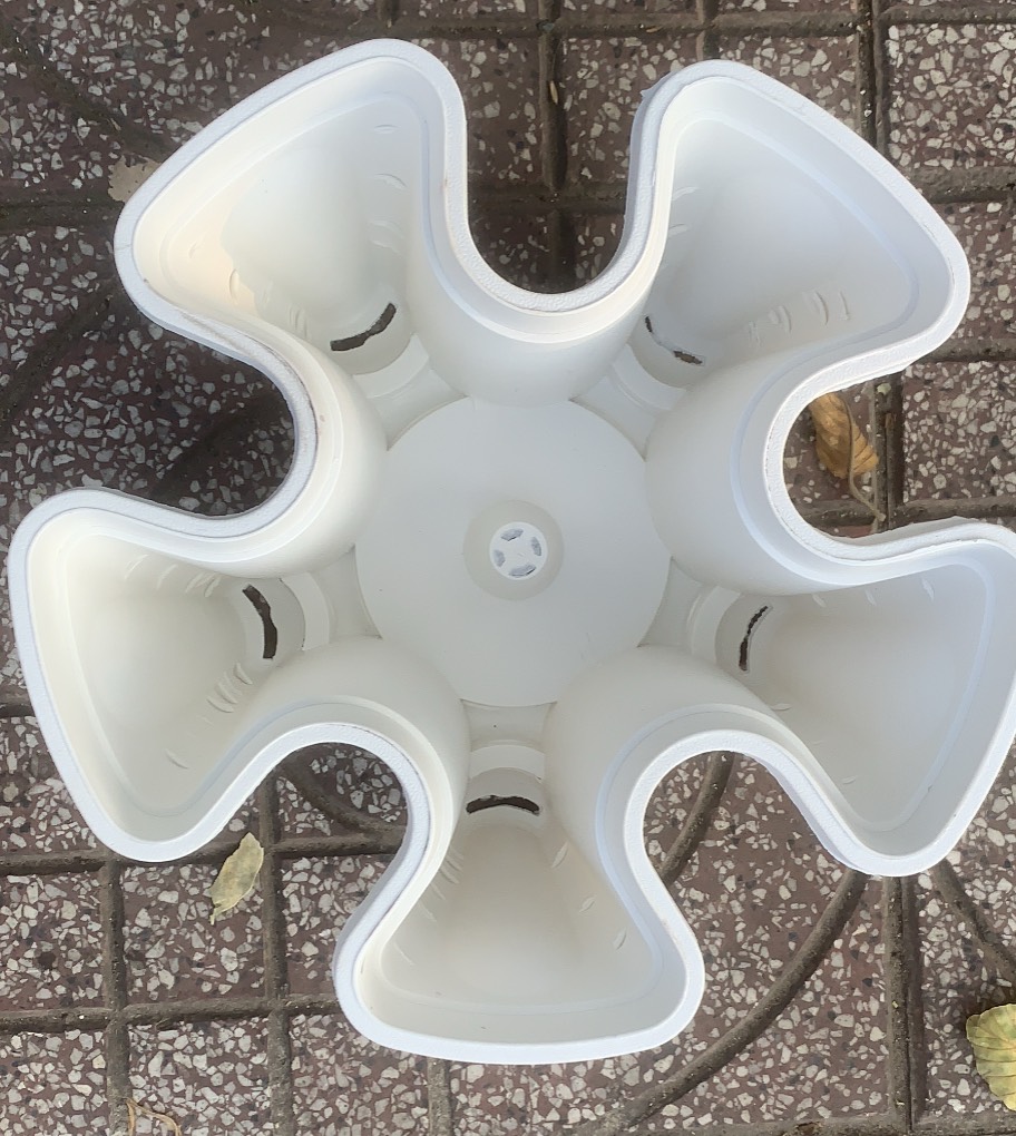 COMBO 02 chậu nhựa trồng hoa kiểng 34x23