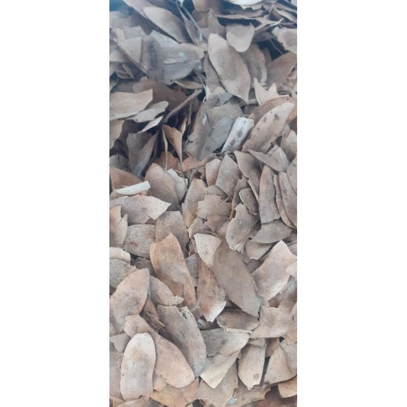 500gram sưa đỏ giống